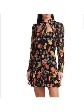 Alexis Women's Morgana Floral Ruffle Mini Dress Black Floral Size Large